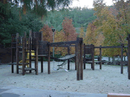 scholl playground